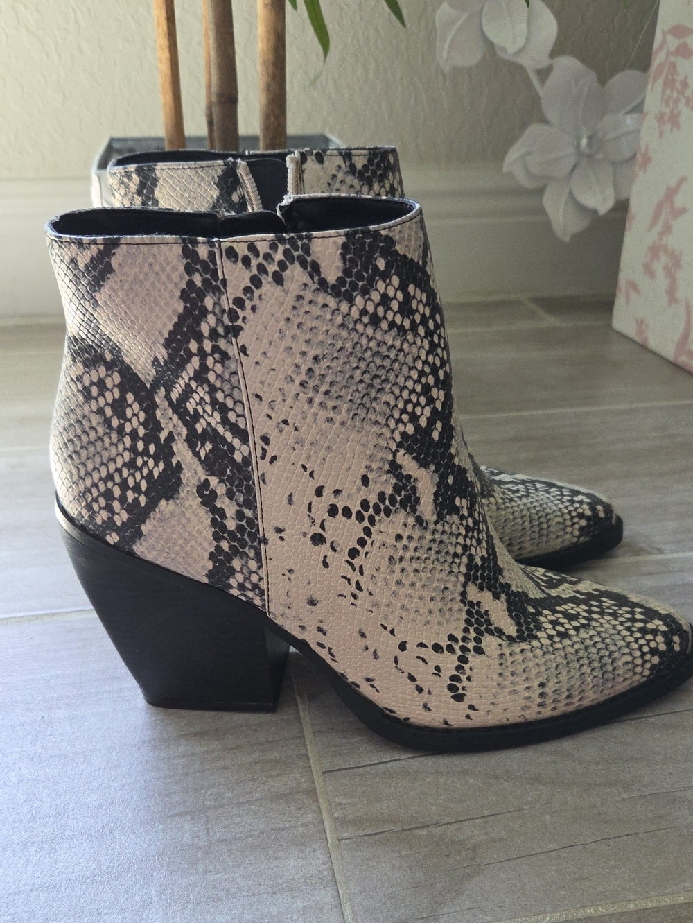Madden Girl Snake-Print Ankle Boots in Ivory and Black
